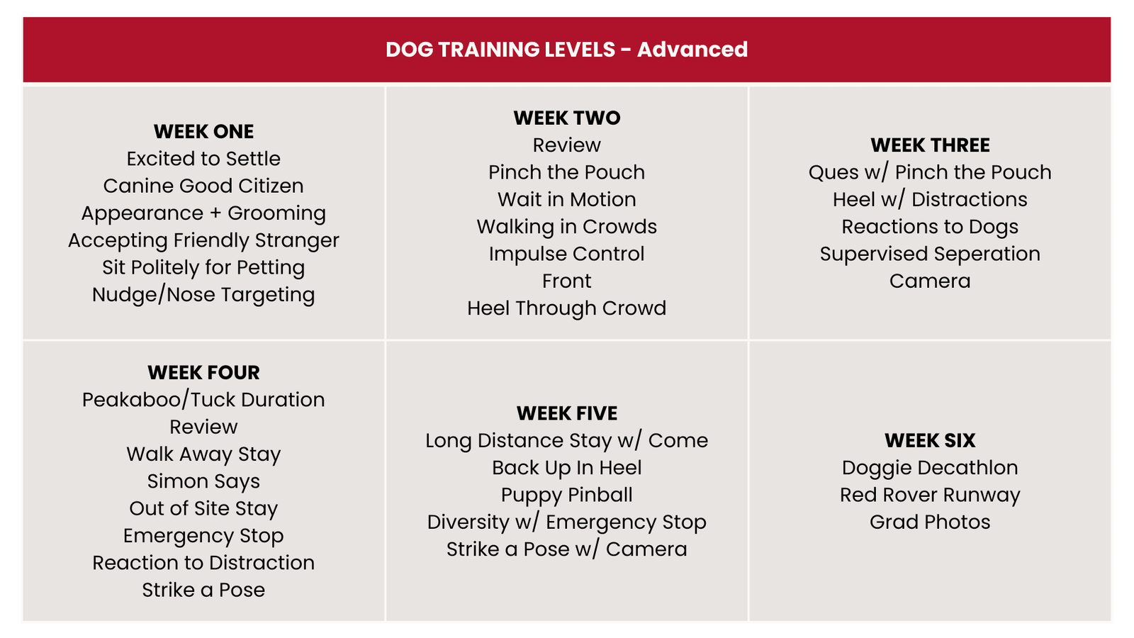 Dog Training Levels 2025 - Advanced - Desktop