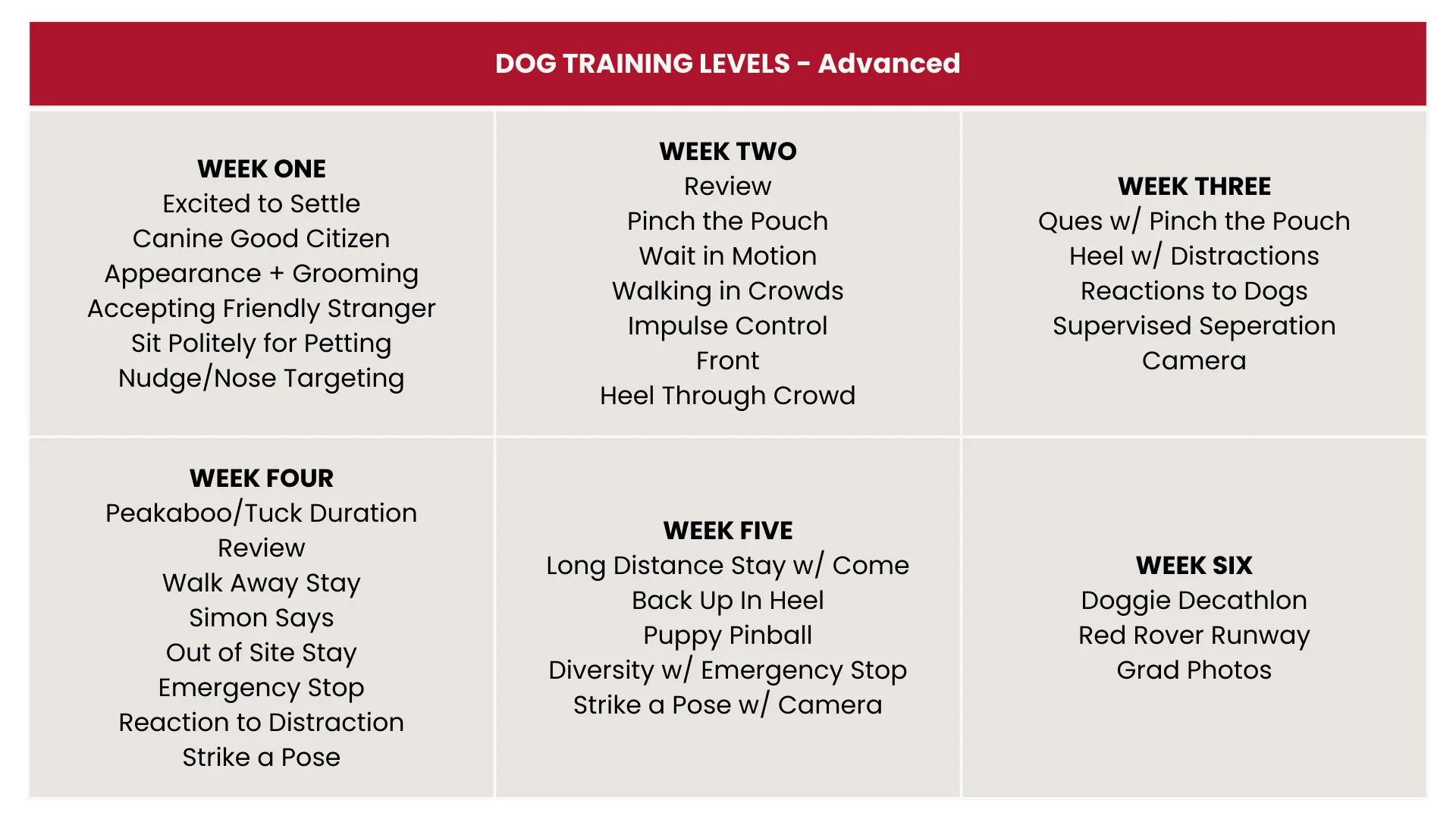 Dog Training Levels 2025 - Advanced - Desktop