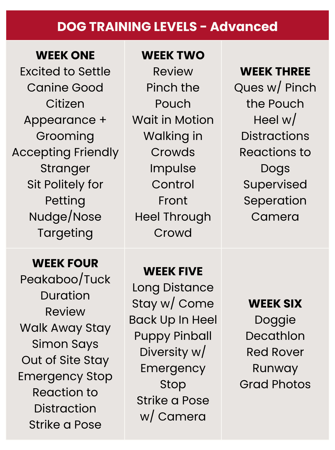 Dog Training Levels 2025 - Advanced - Mobile