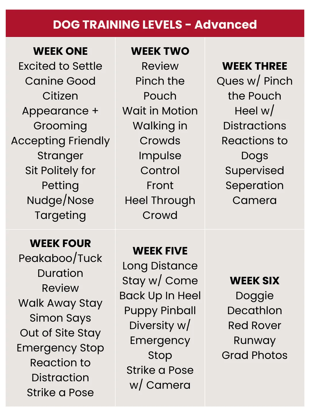 Dog Training Levels 2025 - Advanced - Mobile