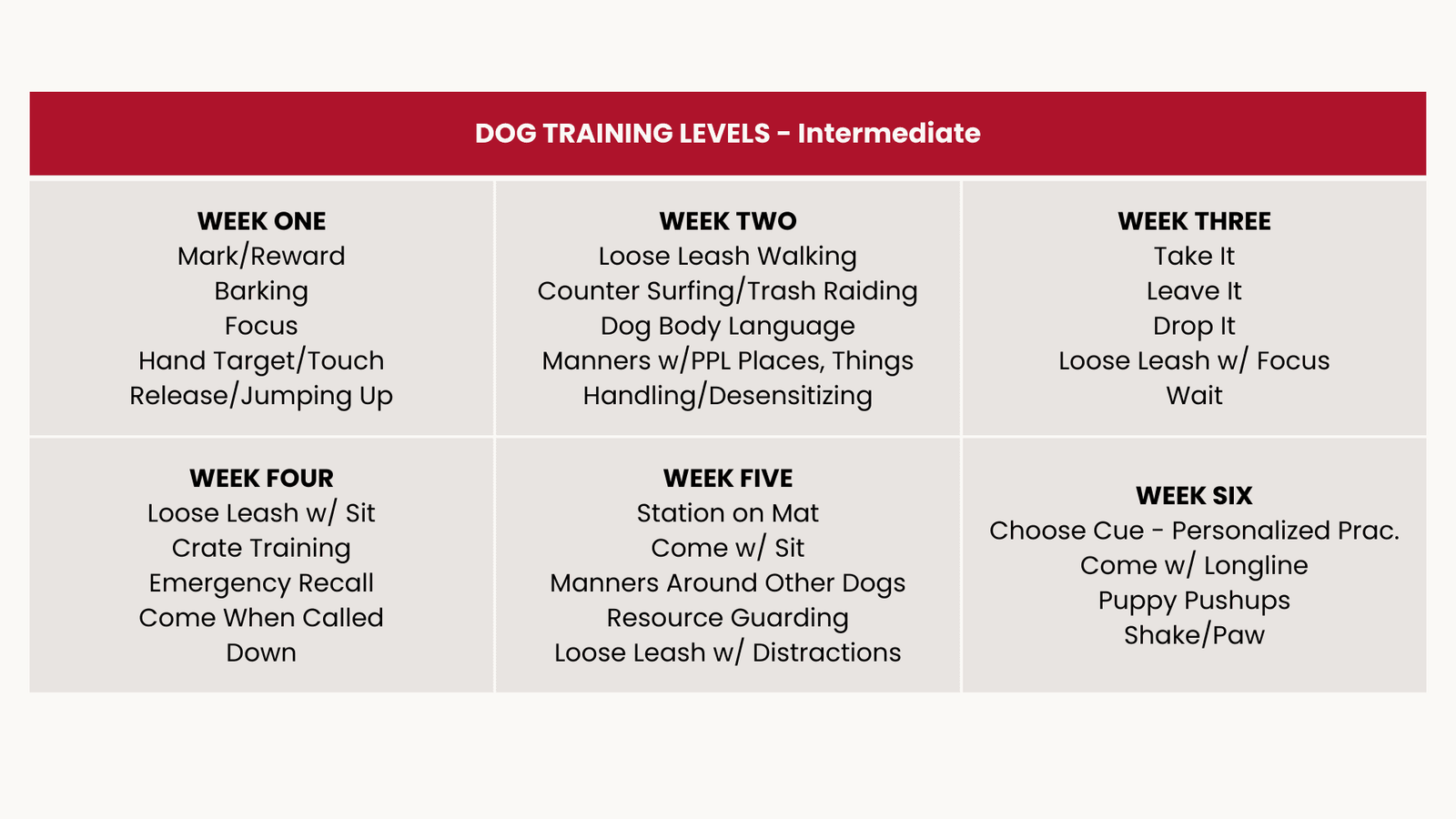 Dog Training Levels 2025 - Intermediate - Desktop