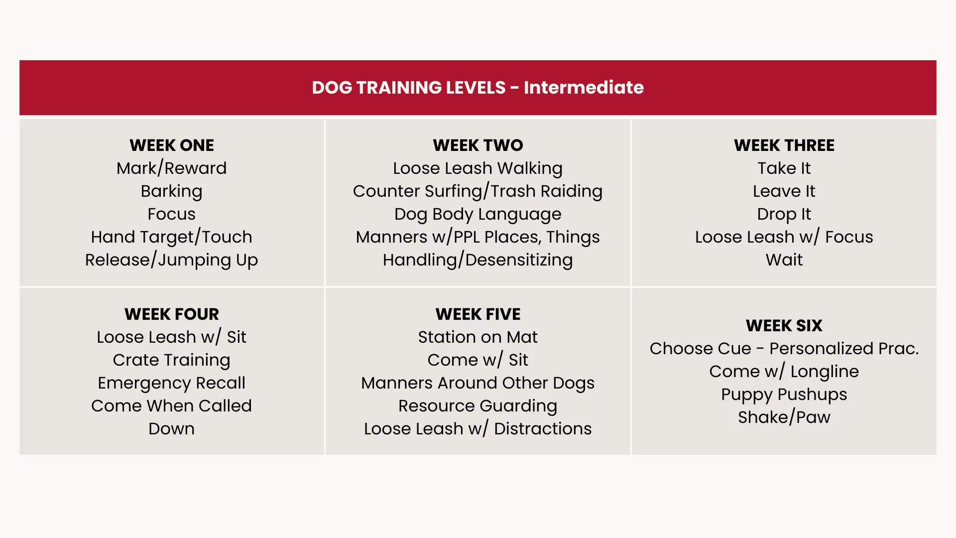 Dog Training Levels 2025 - Intermediate - Desktop