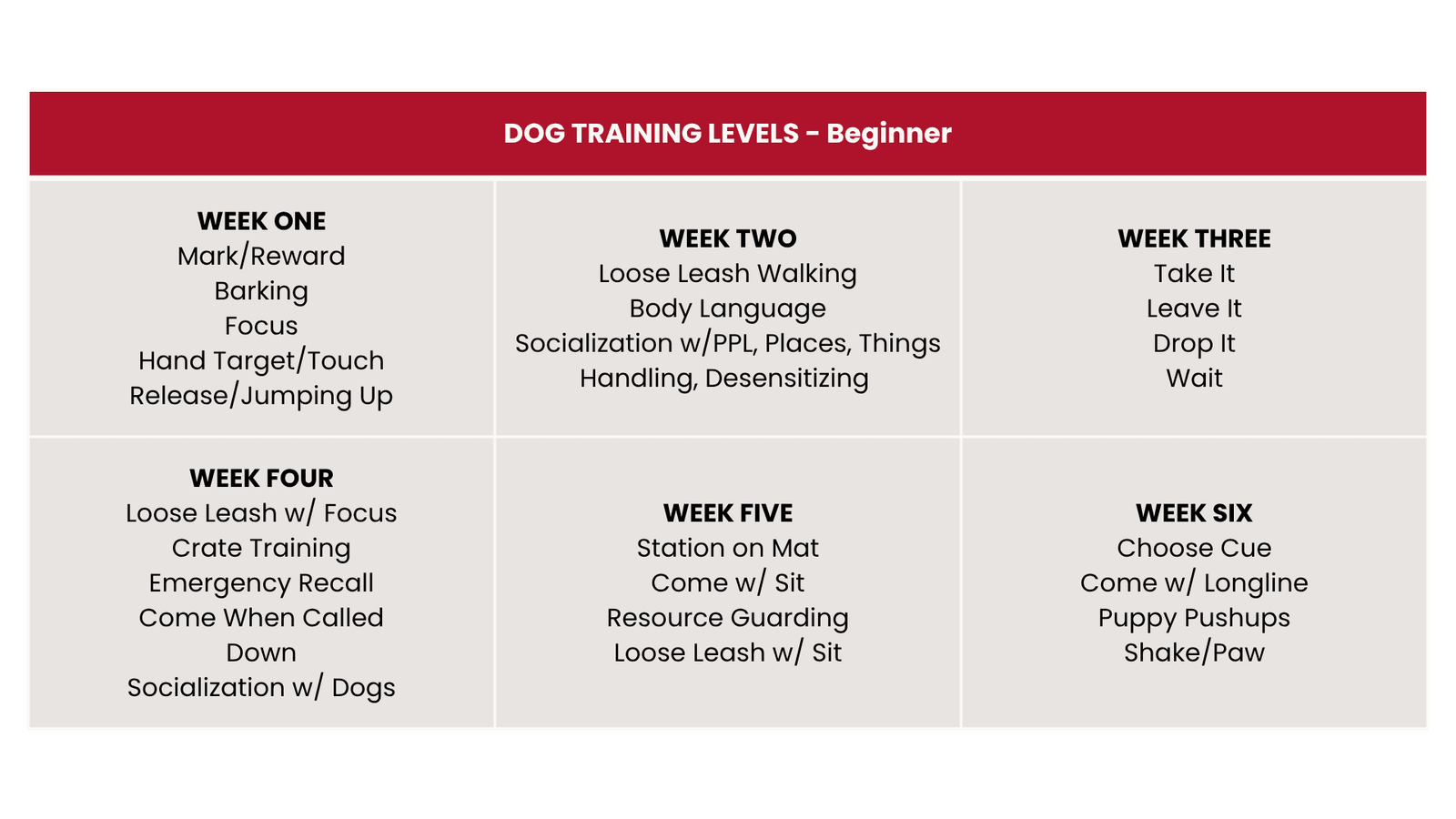 Dog Training Levels 2026 - Beginner - Desktop