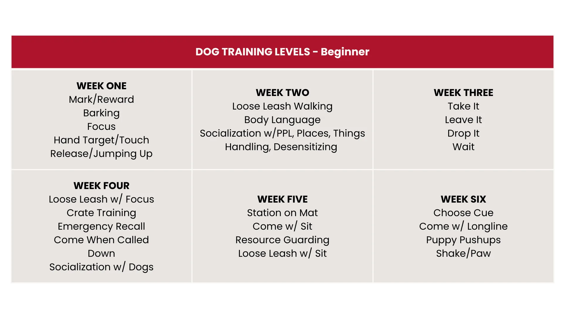 Dog Training Levels 2026 - Beginner - Desktop